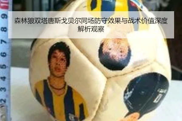 森林狼双塔唐斯戈贝尔同场防守效果与战术价值深度解析观察
